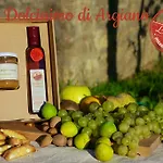 Feriegård Allegro Argiano Arezzo