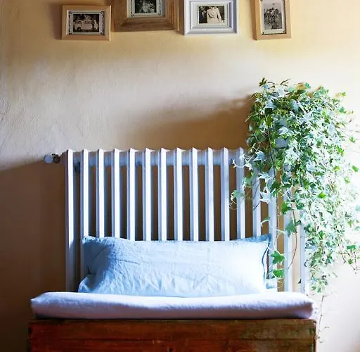 阿尔贾诺农庄旅馆 农家乐 阿雷佐