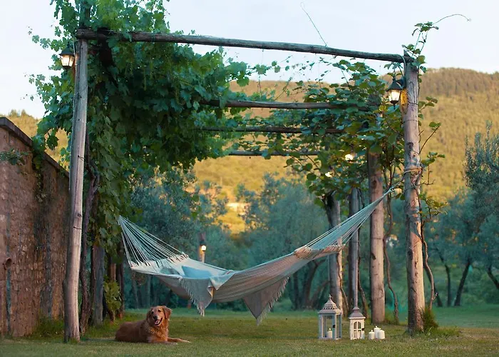 农家乐 阿尔贾诺农庄旅馆 阿雷佐